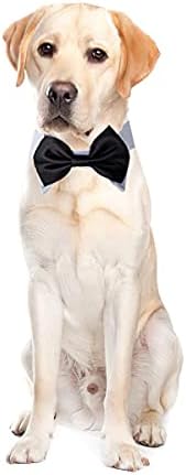 VEDEM Kutya Nyakkendő Állítható Szmoking Gallér Pet Jelmez Csokornyakkendőt, Kutyák, Macska (Nagy, Fekete)