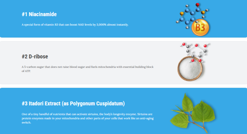 "Where to Buy Mitochondrial Supplements: Top Sources You Can Trust!